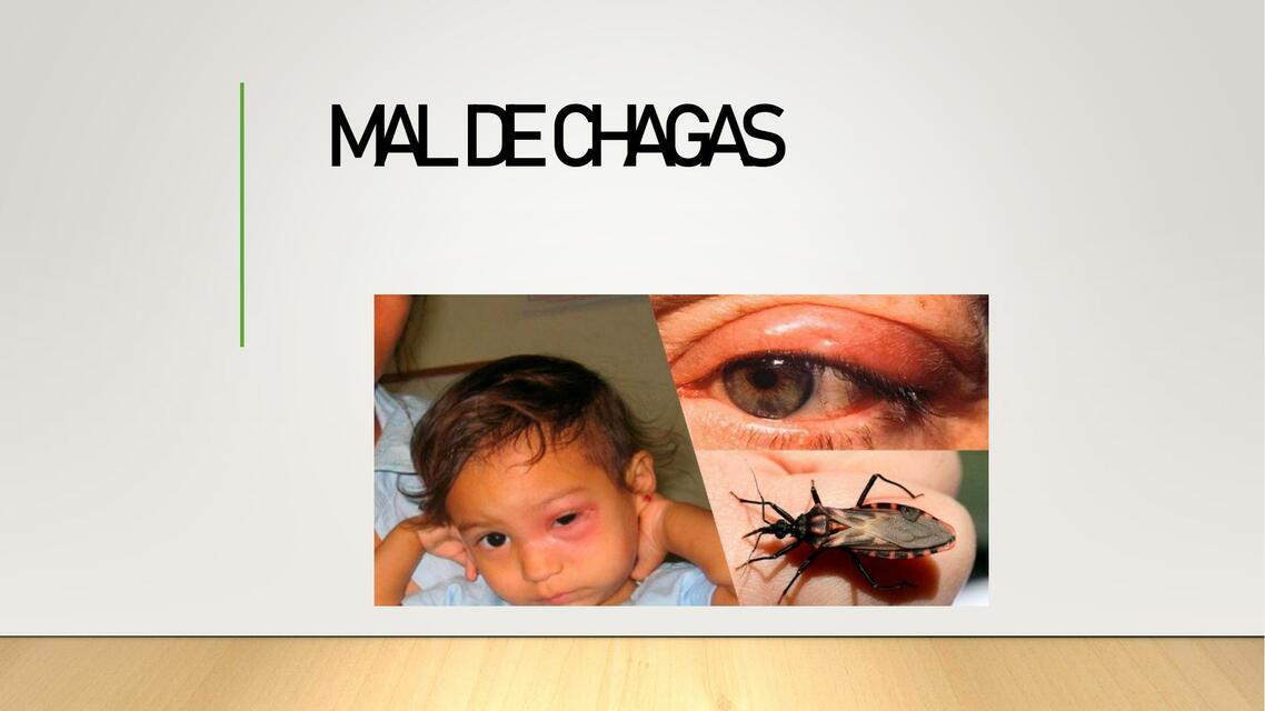 Mal de Chagas 