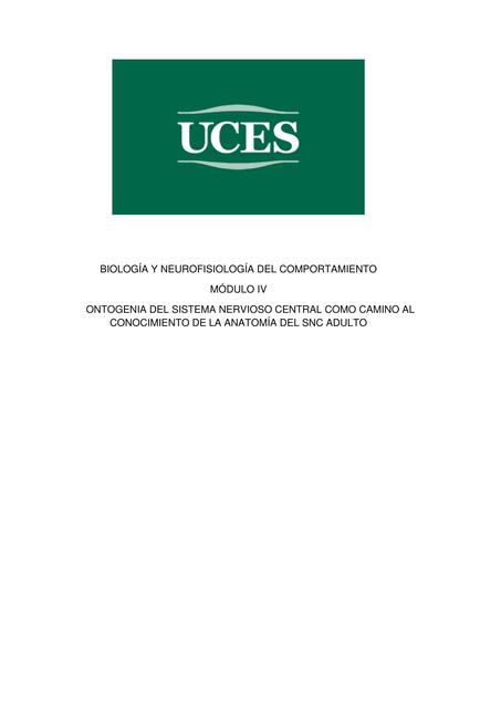 Ontogenia del sistema nervioso central como camino al conocimiento de la anatomía del SNC adulto