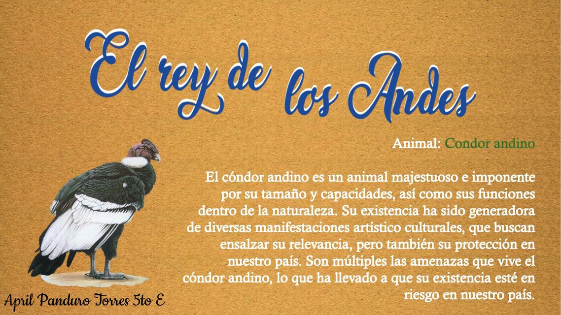 EL REY DE LOS ANDES