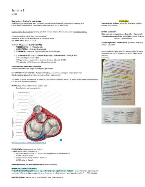 Cardiologia