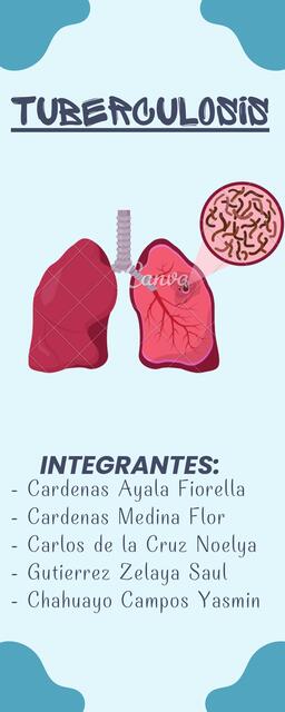 Infografia de la Tuberculosis