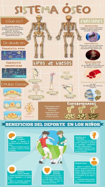 Infografía de la importancia de la educación física | Deporte y Fit | uDocz