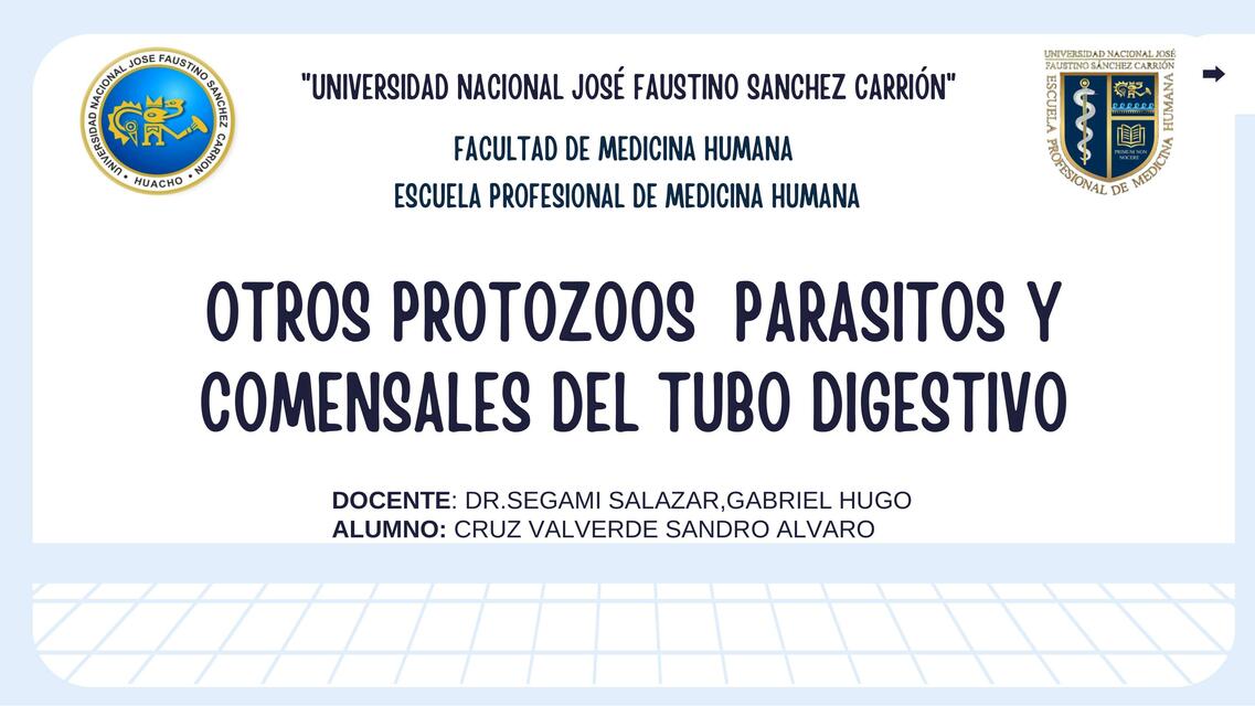 Otros protozoos parásitos y comensales del tubo digestivo 