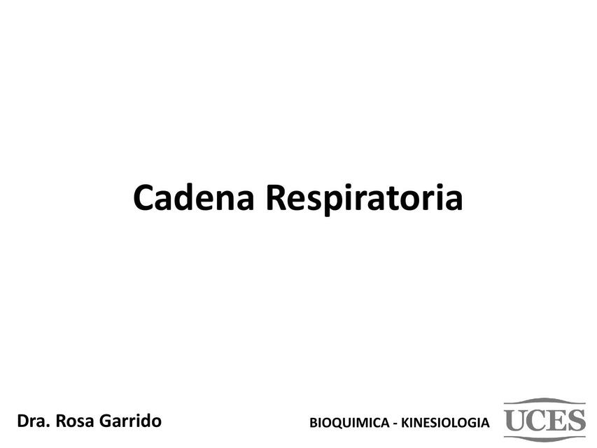 Cadena Respiratoria