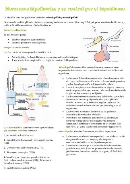 hormona hipofisiaria