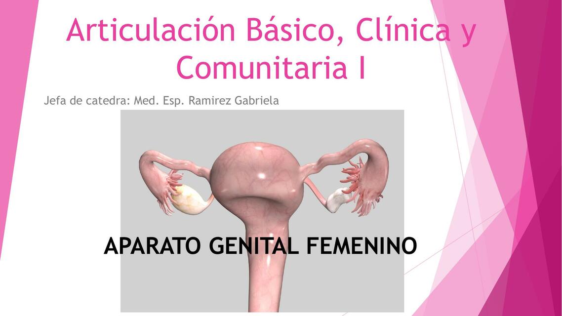 Aparato genital femenino