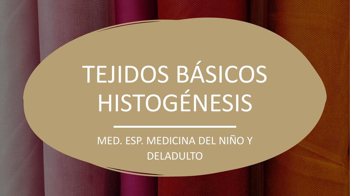 Tejidos básicos histogénesis  