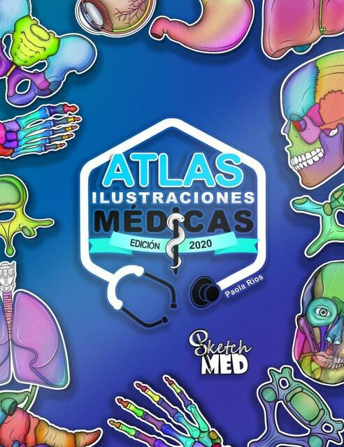 atlas ilustraciones medicas