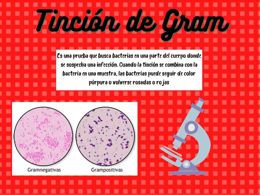 La tinción de Gram | fernanda de la garza | uDocz