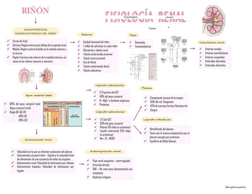 MAPA MENTAL DEL RIÑON