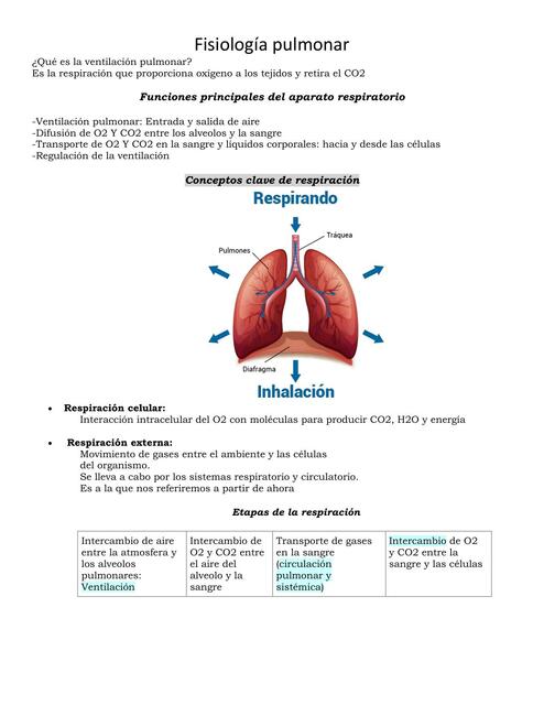 Fisiología pulmonar