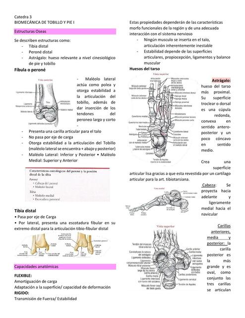 Biomecánica Tobillo y Pie