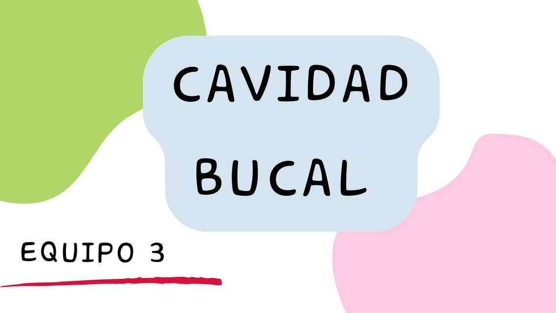 Cavidad Bucal