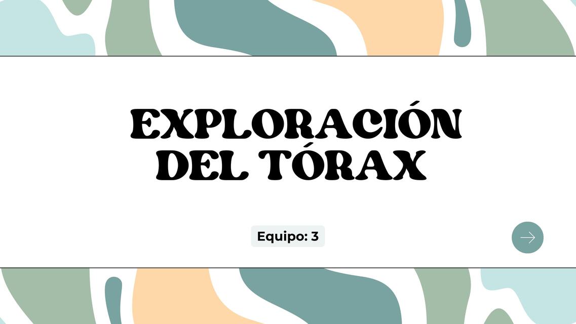 Exploracion del torax