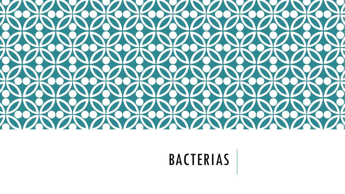 BACTERIAS