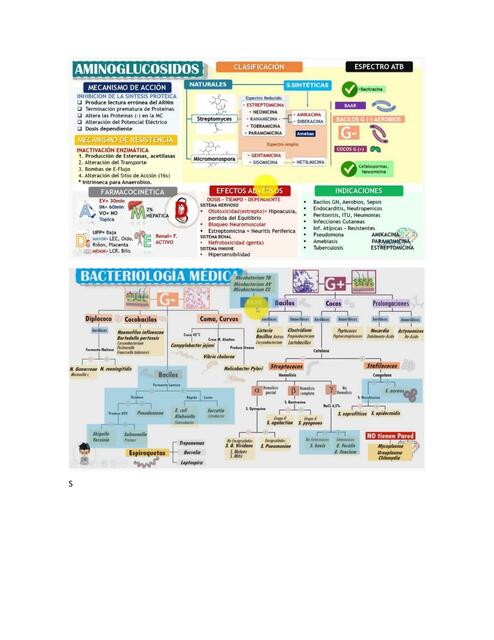 Farmaco Antibioticos