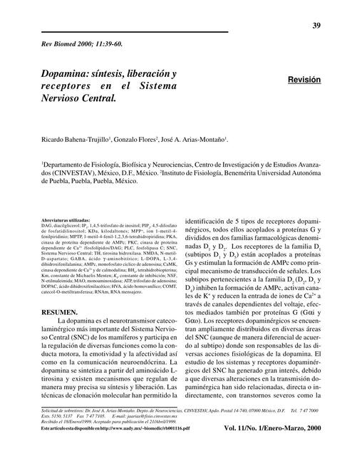 Dopamina síntesis liberación y rc en el sistema