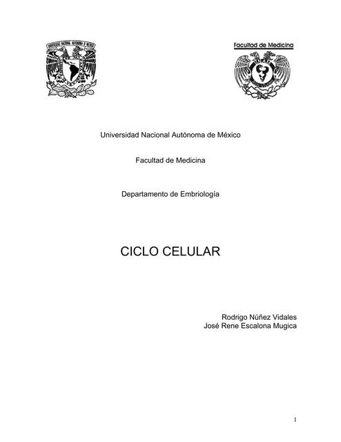 Lectura ciclo celular