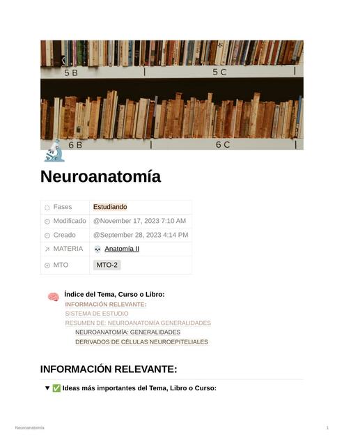 Neuroanatomía