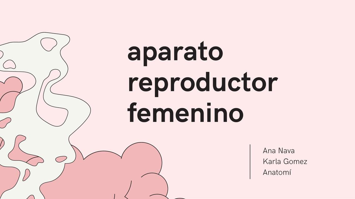 Aparato reproductor femenino