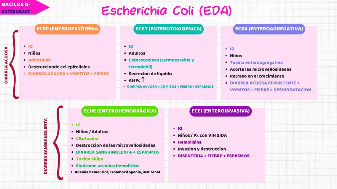 Escherichia Coli (EDA)