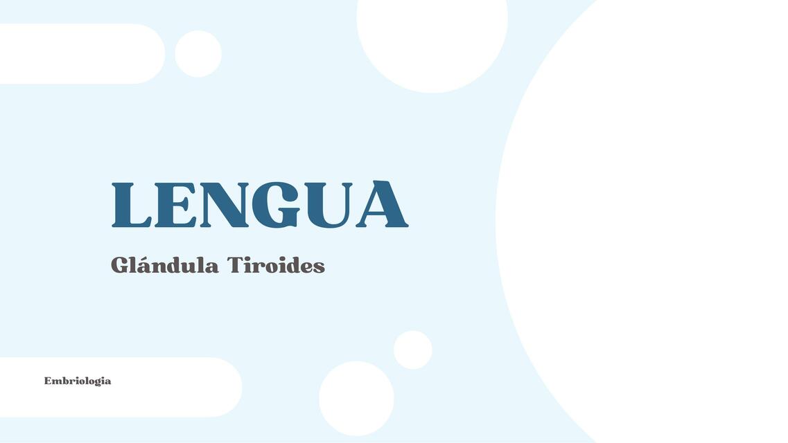 Lengua y Glándula Tiroides