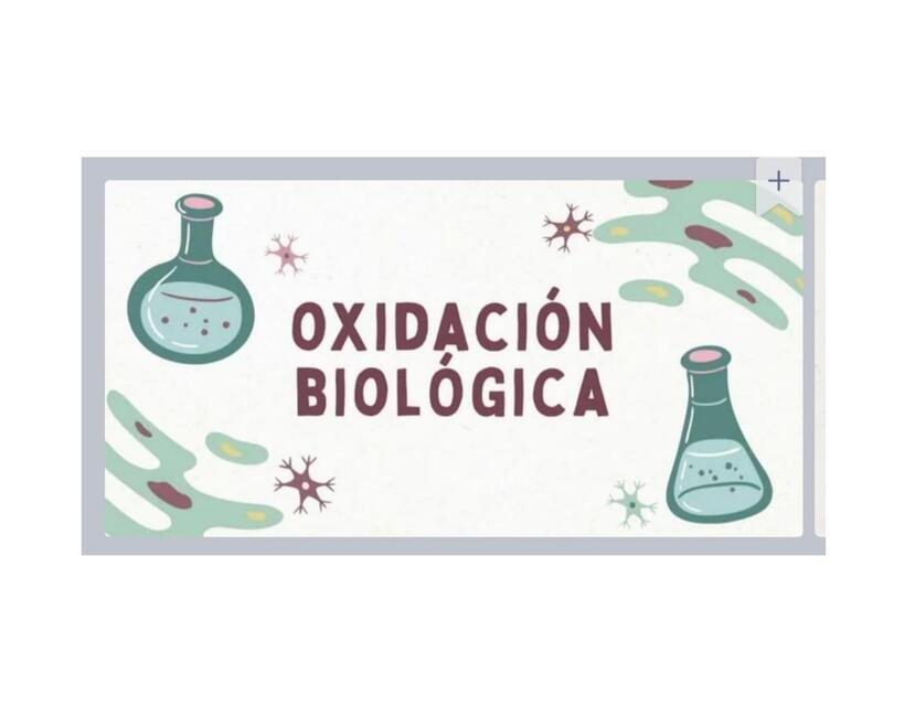 Oxidación biológica 