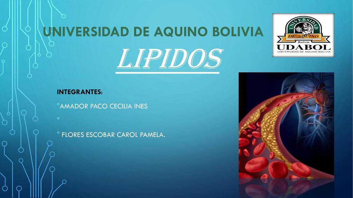 Lípidos 