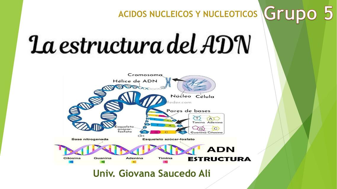 Ácidos Nucleicos y Nucleótidos 