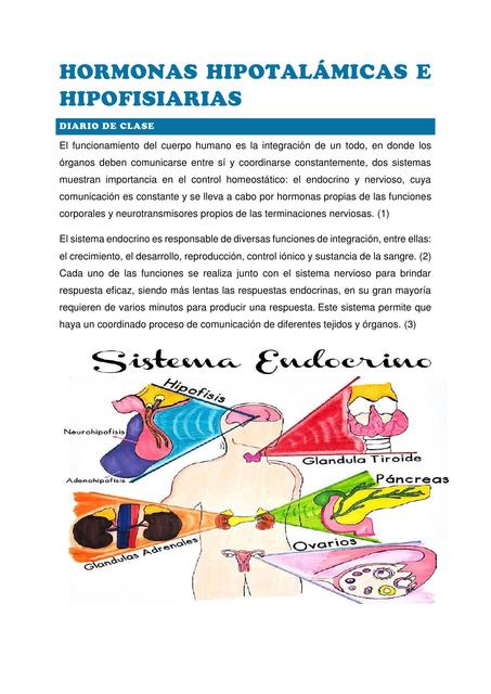 HORMONAS HIPOTALÁMICAS E HIPOFISIARIAS