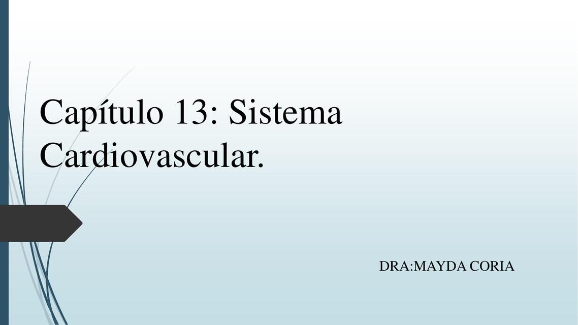 Capítulo 13: Sistema Cardiovascular 