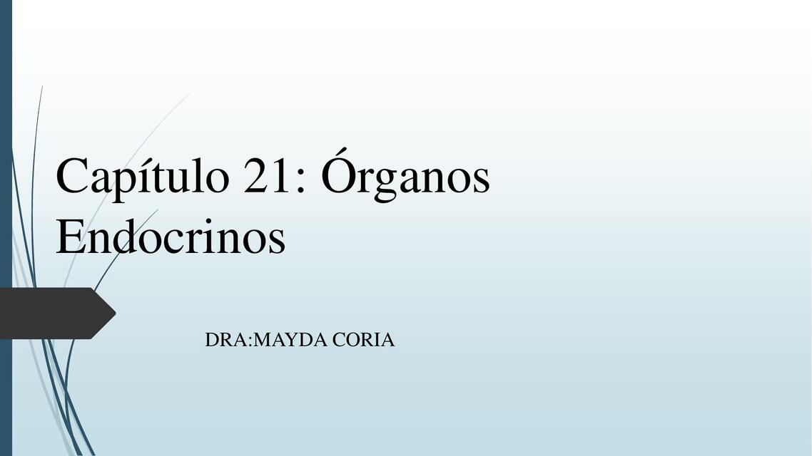 Capítulo 21: Órganos Endocrinos 