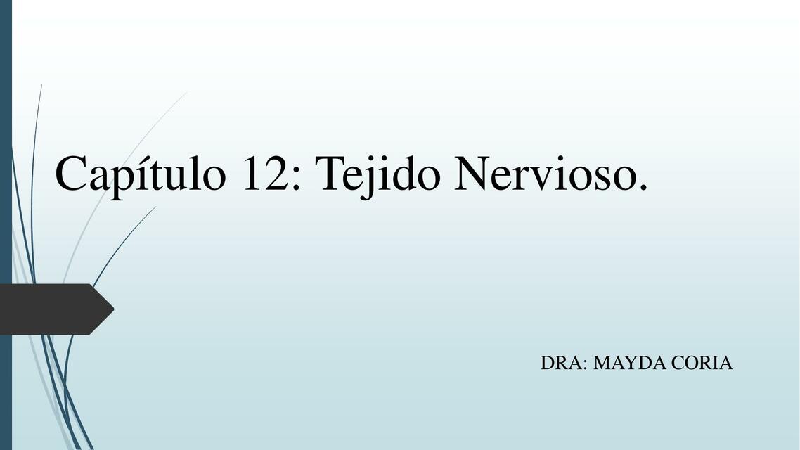 Tejido Nervioso 