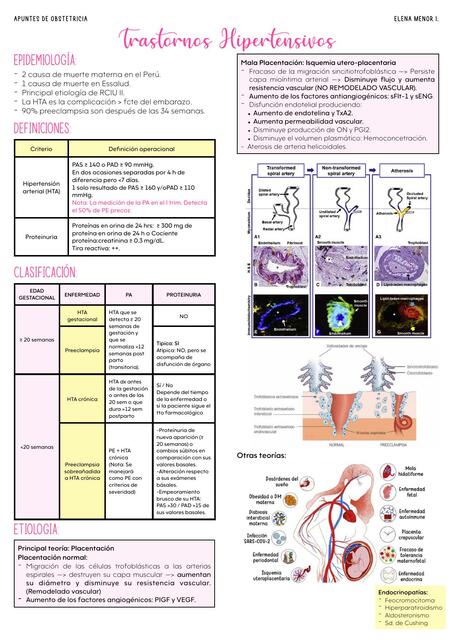 TRASTORNOS HIPERTENSIVOS EN EL EMBARAZO