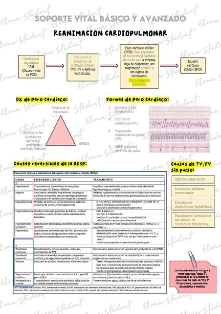 REANIMACIÓN CARDIOPULMONAR