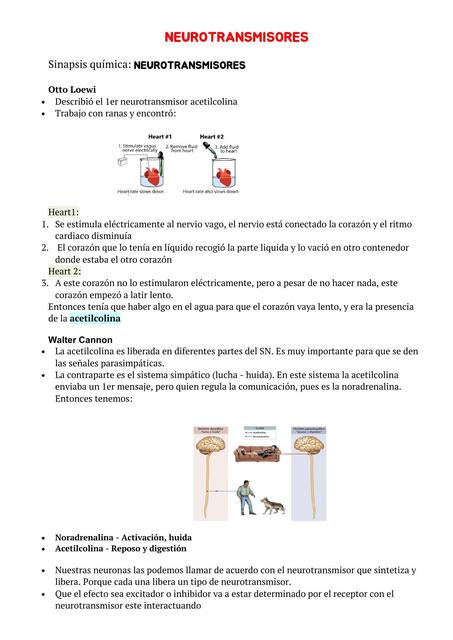 Neurotransmisores  