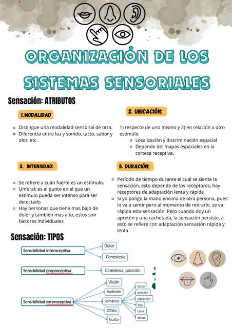 Sistemas Sensoriales