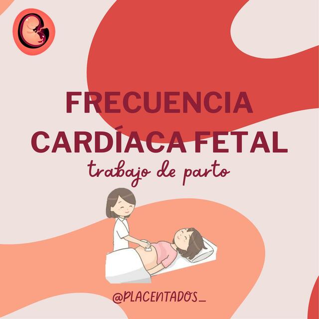 Frecuencia Cardíaca Fetal Normal Durante El Embarazo – JSAK