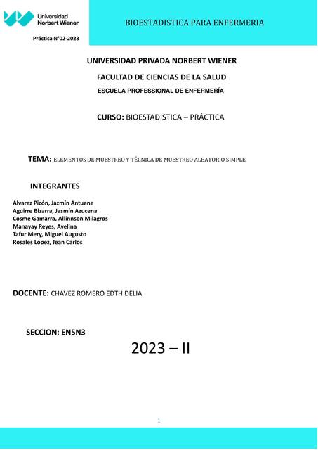 Elementos de muestreo y técnica de muestreo aleatorio simple 