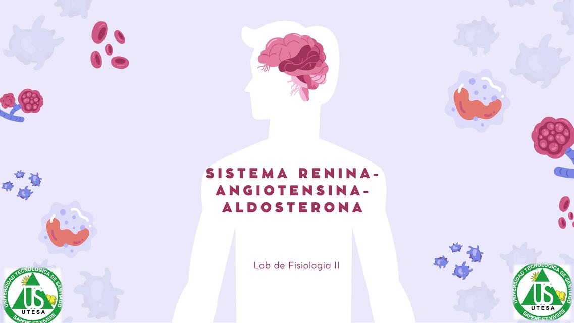 Sistemas renina-angiotensina-aldosterona