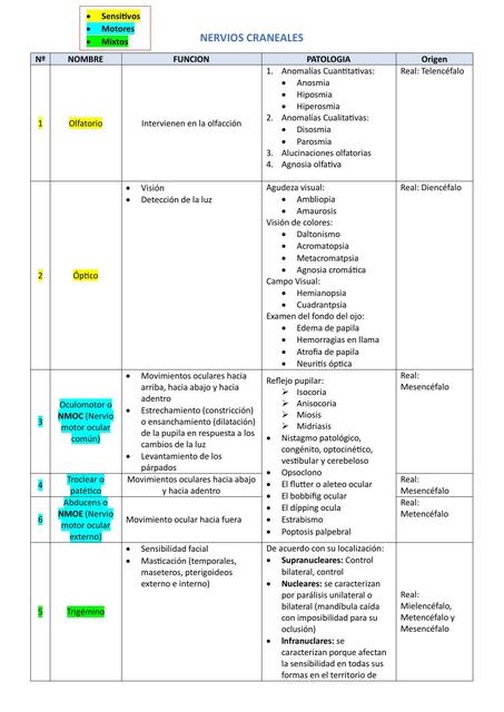 Pares craneales, función y patologías