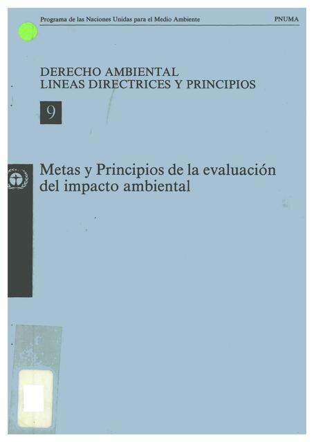 Derecho ambiental lineas directrices y principios 