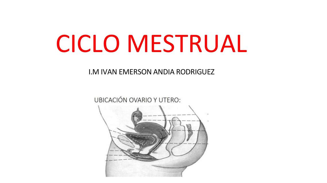 Ciclo mestrual 