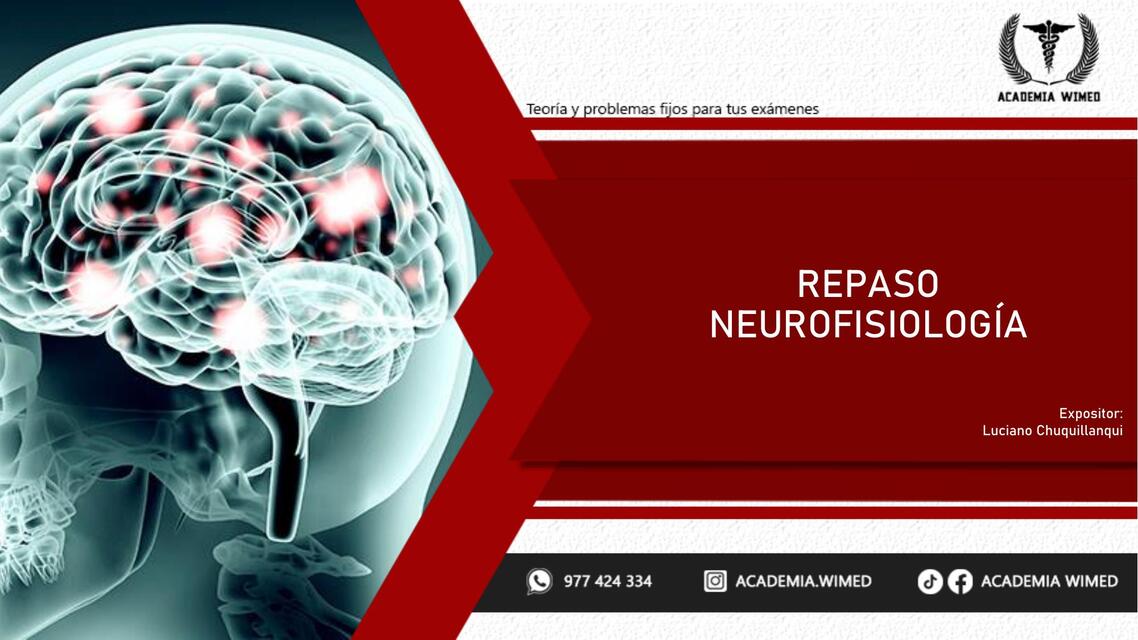 Repaso Neurofisiología  