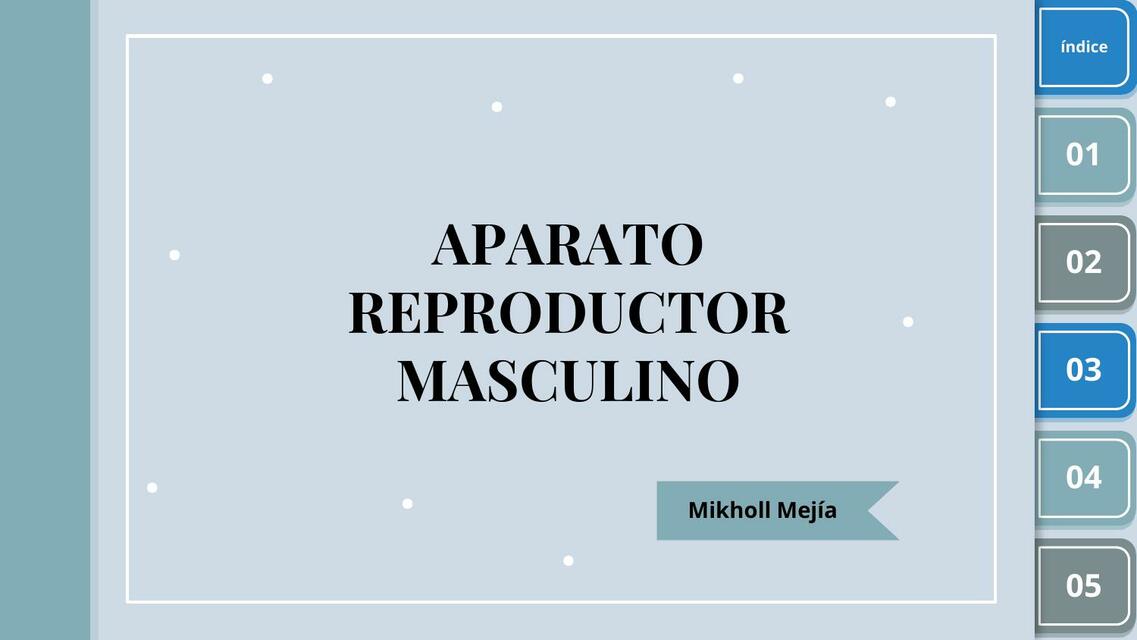 Aparato reproductor masculino