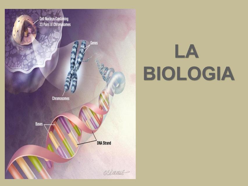 C1 La Biología 