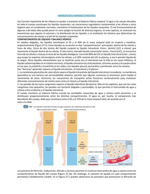 Homeostasis Hidroelectrolítica  