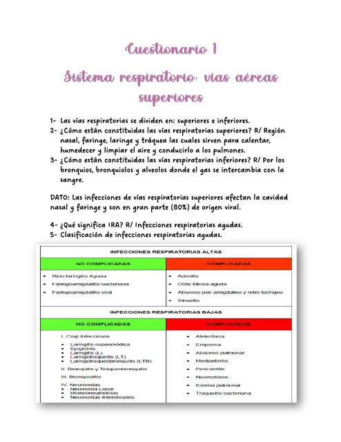 Sistema respiratorio vías aéreas superiores  