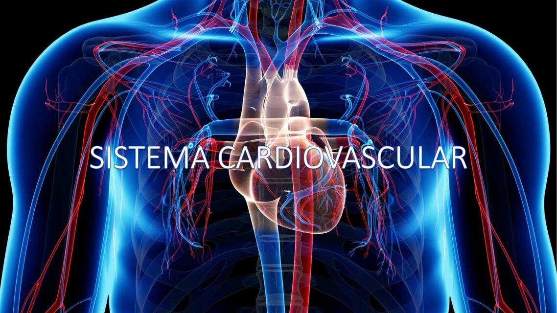 Sistema Cardiovascular  