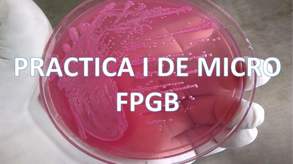 Práctica I de micro FPGB 